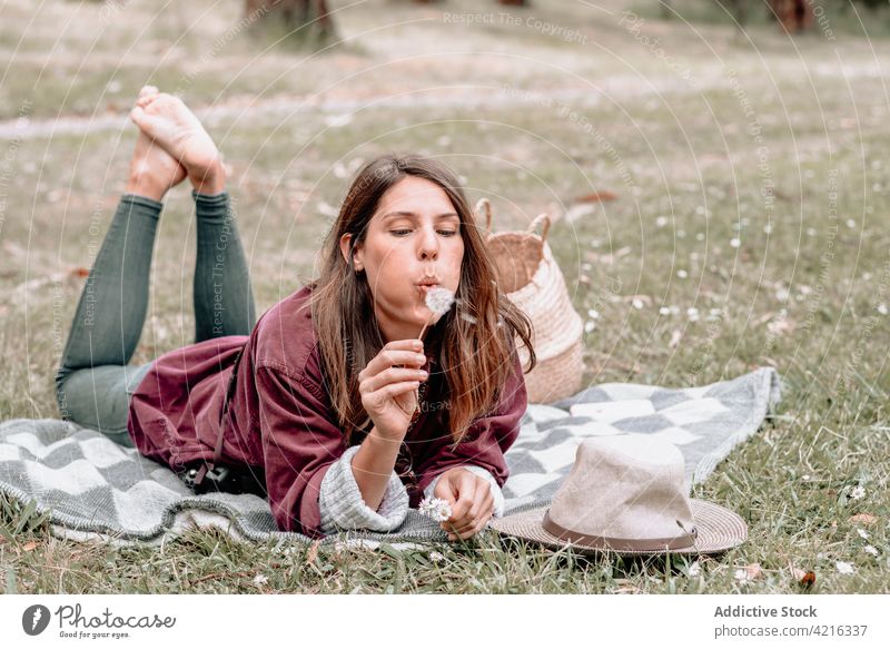 Frau bläst Löwenzahn im Wald beim Picknick Schlag Natur genießen sorgenfrei Blume Decke Australien sich[Akk] entspannen Sommer ruhen Park Feiertag Wälder