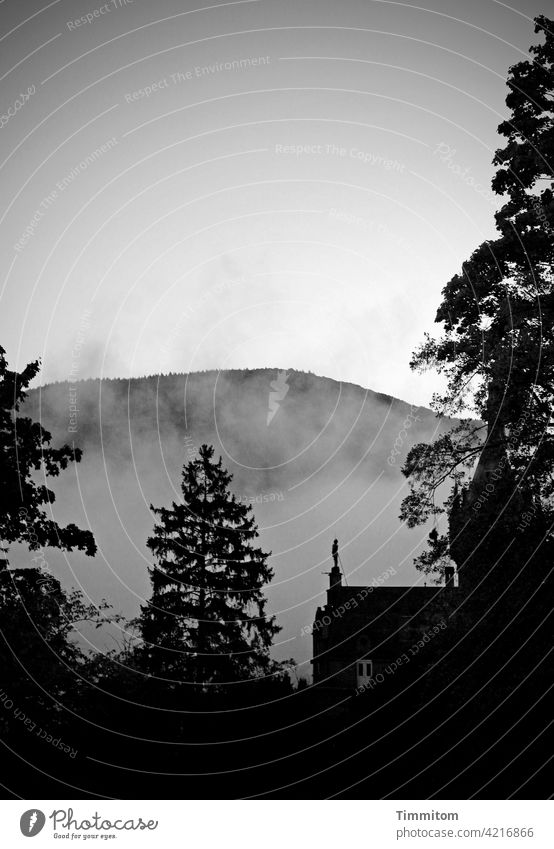 Die Nebelschwaden. Eine Figur auf dem Dach. Heidelberg in Moll. Haus Dachfirst Ritter Bäume Hügel Stimmungsbild moll Schwarzweißfoto Melancholie düster Himmel