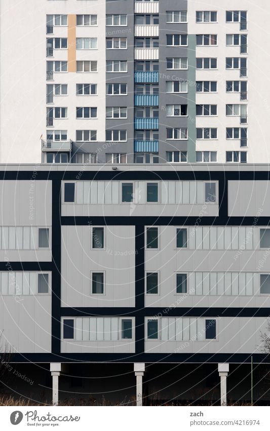 Leben in Schachteln Muster Einsamkeit grau Fenster Beton Linie Häusliches Leben Fassade Wand Mauer Architektur Bauwerk Menschenleer Hochhaus Haus