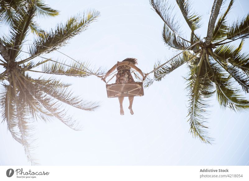 Unbekannte Frau auf Schaukel zwischen üppigen Palmen pendeln tropisch sorgenfrei schwenken Handfläche Resort exotisch Natur Garten Sommer Blauer Himmel sonnig