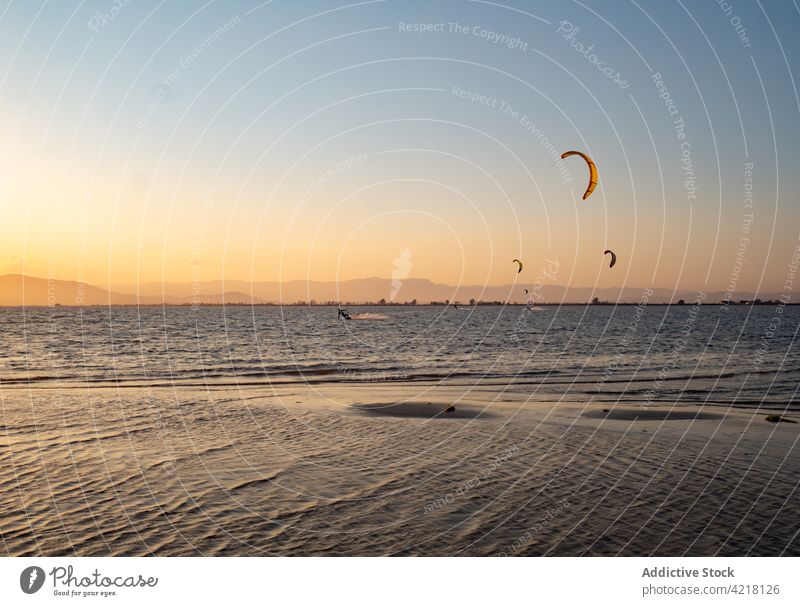 Gleitschirmflieger über dem Meer bei Sonnenuntergang MEER Strand aktiv Abenteuer Fliege Natur Meereslandschaft Abend Wasser Sport marin Freiheit Flug Fallschirm