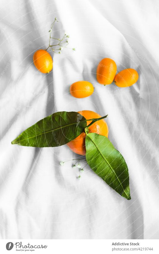 Frische Mandarinen auf zerknittertem Stoff Frucht Zitrusfrüchte tropisch exotisch frisch natürlich hell reif organisch Vitamin lecker Blume Blütezeit Blatt