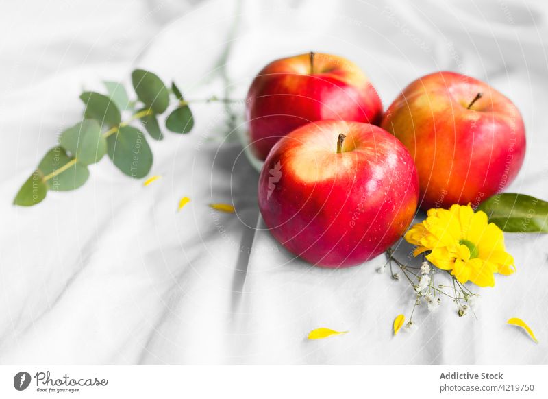 Frische rote Äpfel neben blühenden Chrysanthemen auf zerknittertem Textil Apfel Frucht Blütezeit Blume frisch organisch Vitamin Stoff hell chrysanth natürlich