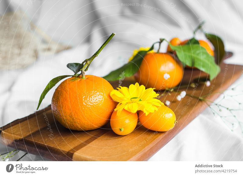 Frische Mandarinen und Kumquats auf Schneidebrett auf zerknittertem Stoff Chrysantheme Frucht Zitrusfrüchte tropisch exotisch frisch natürlich hell reif