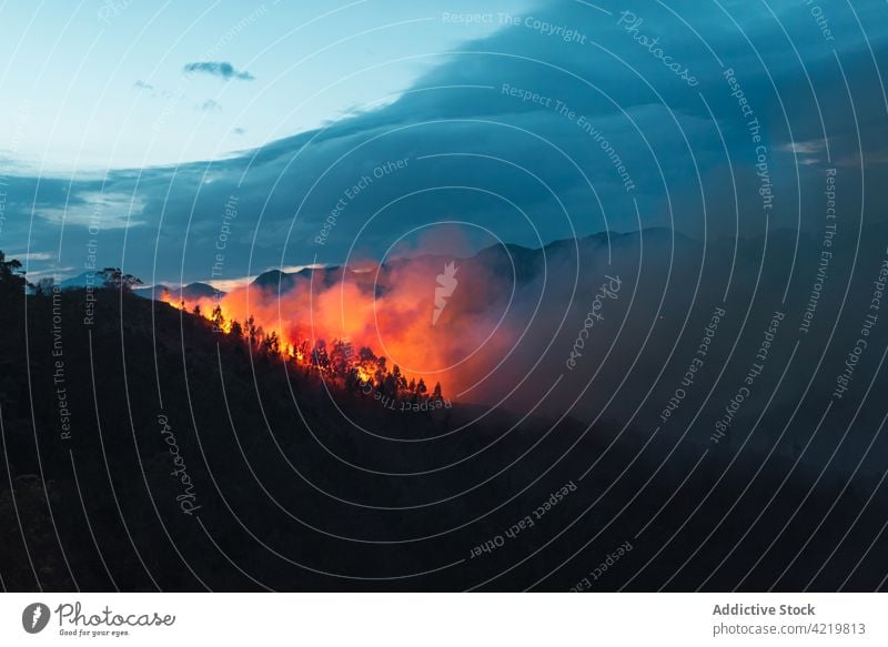 Vom Brandrauch bedeckter Bergwald Feuer Notfall Gefahr Lauffeuer Flamme Klimawandel vernichten Entwaldung Erhaltung Rauch globale Erwärmung Baum wild Natur