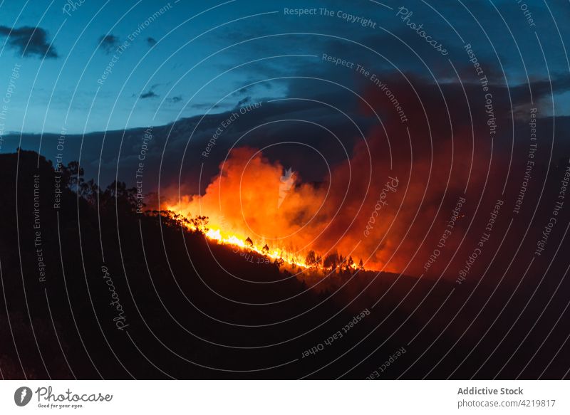 Vom Brandrauch bedeckter Bergwald Feuer Notfall Gefahr Lauffeuer Flamme Klimawandel vernichten Entwaldung Erhaltung Rauch globale Erwärmung Baum wild Natur