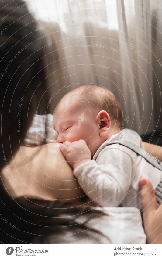 Anonyme Mutter, die ihr neugeborenes Baby im Sessel zu Hause stillt stillen Umarmen Mutterschaft Säuglingsalter Harmonie Armsessel heimwärts Frau idyllisch Mama