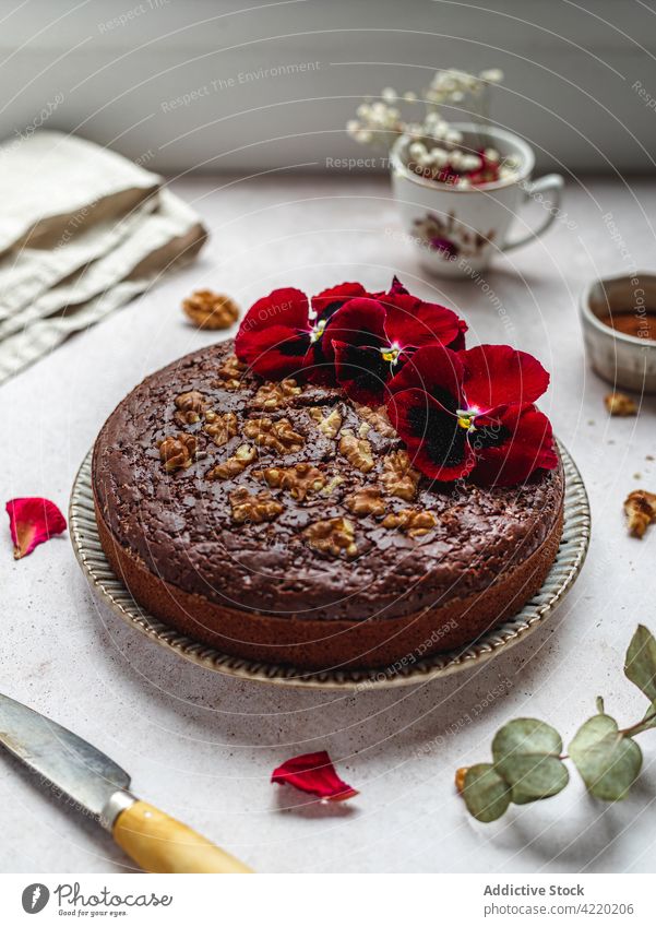 Torte mit Blumen und Walnüssen auf dem Tisch Kuchen Schokolade Walnussholz Dessert süß ganz Dekoration & Verzierung Garnierung Leckerbissen selbstgemacht