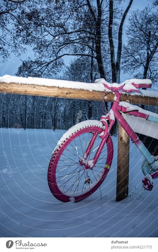 Rosa Fahrrad im Winter Schnee Rad fahrrad Speichen Reifen Außenaufnahme Verkehrsmittel Menschenleer Metall parken Fahrradfahren Mobilität Bewegung