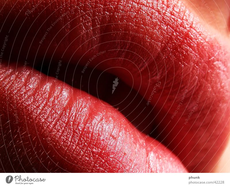 lippencloseup aufreizend extrem Risiko aufregend weich sensibel Morgen Lippen rot Lippenstift Frau feminin verführerisch gefährlich Küssen knackig Lipgloss rosa