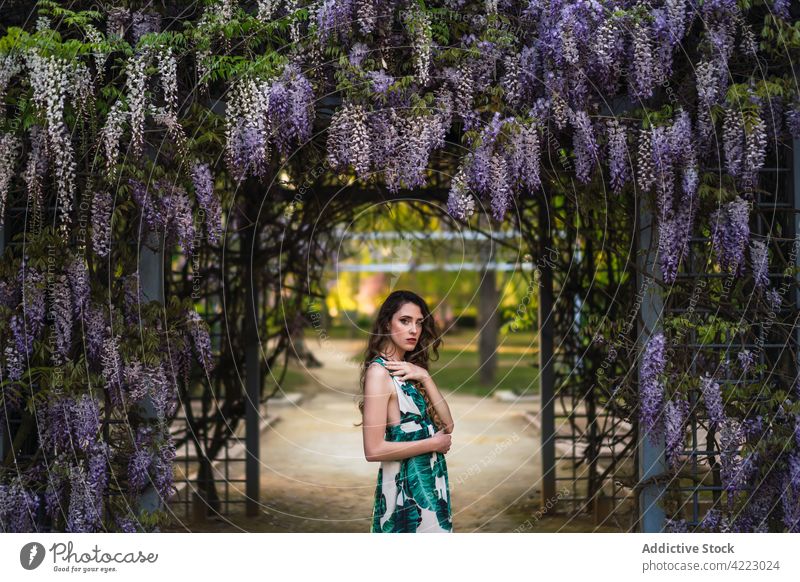 Wunderschöne junge Frau in grünem Garten stehend Park Blütezeit Stil Sonnenkleid feminin Windstille pflanzlich traumhaft Schulter berühren Anmut Vorschein