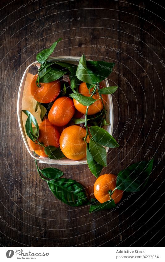 Ganze reife Mandarinen mit Blättern im Behälter Frucht Zitrusfrüchte frisch Vitamin tropisch exotisch natürlich Blatt Container hell organisch orange grün Farbe