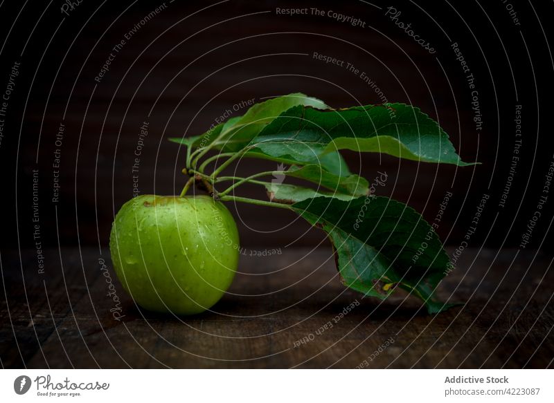 Frischer Apfel mit Wassertropfen und Blättern Tropfen Frucht Vitamin frisch reif natürlich Laubwerk saftig gesunde Ernährung organisch Blatt Bestandteil essbar