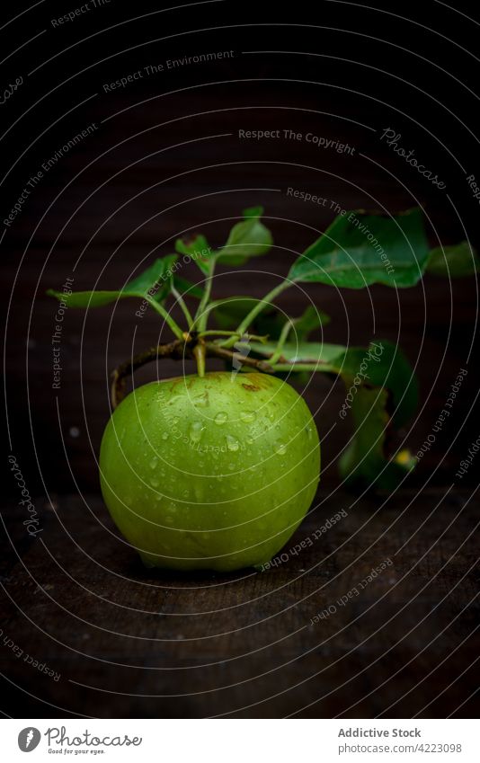 Frischer Apfel mit Wassertropfen und Blättern Tropfen Frucht Vitamin frisch reif natürlich Laubwerk saftig gesunde Ernährung organisch Blatt Bestandteil essbar