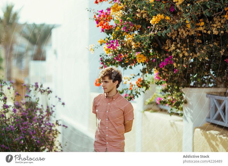 Junger Mann steht in der Nähe von weißen Häusern mit blühenden Blumen geschmückt verträumt Haus Dorf Blüte Sommer Fassade Straße Landschaft Dorf Oia Santorin