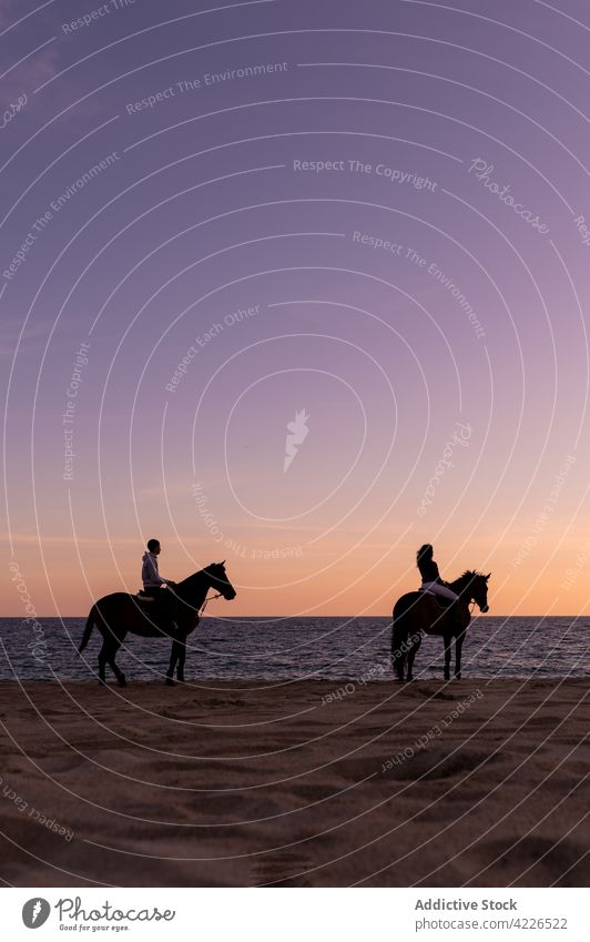 Unerkanntes Paar auf Pferden bewundert das Meer vom Strand aus bei Sonnenuntergang Hengst MEER Ufer bewundern Himmel Horizont Natur Landschaft Zusammensein