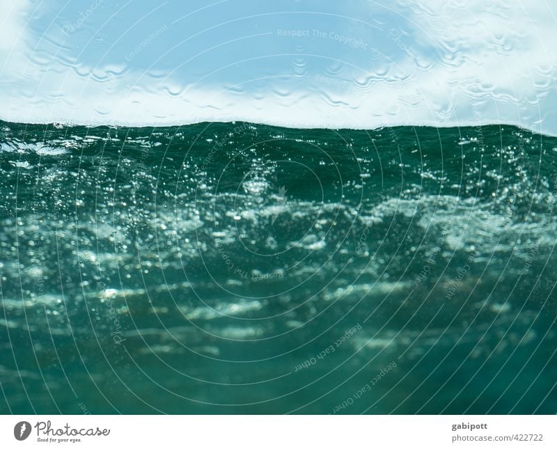 abtauchen Urelemente Wasser Wassertropfen Wellen Ostsee Meer Flüssigkeit Fröhlichkeit frisch kalt nass blau Unterwasseraufnahme Erfrischung Farbfoto