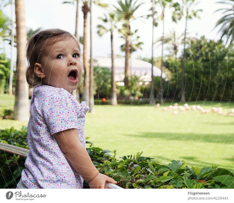 Gähn manipuliert Kind Kindererziehung Kindheit Mädchen Mädchenportrait Mädchengesicht Frühling laufen Spielen spielend Palme Urlaub Urlaubsstimmung Urlaubsfoto