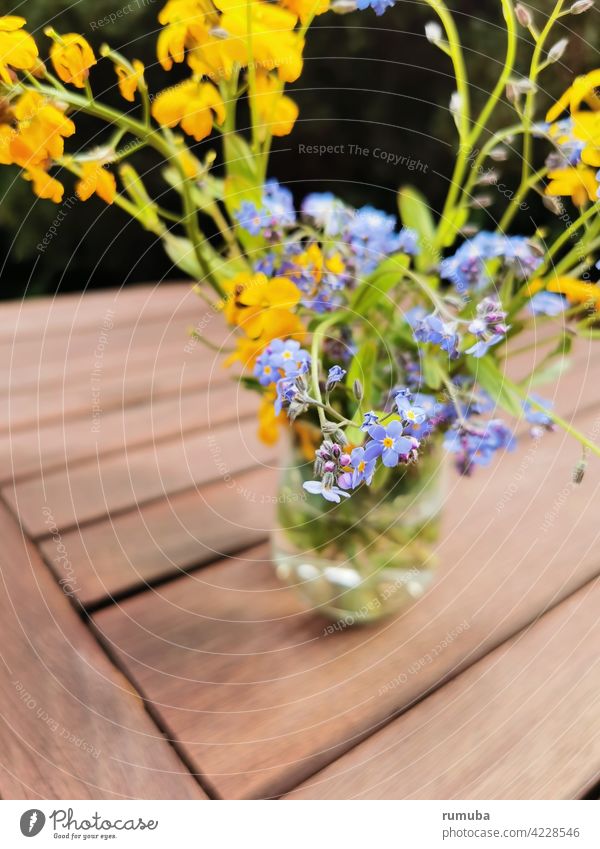 Blaue und gelbe Frühlingsblumen in Vase Gartenblume Blume Wildblume Frühlingsgefühle abstrakt Natur ästhetisch Außenaufnahme Blumenstrauß lila Tisch braun