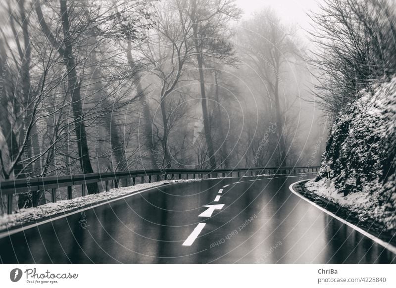 Winterlich nasse, kurvige Straße im Nebel auf der schwäbischen Alb, uneinsehbare Kurve, schneebedeckter Wald und Spiegelungen im fast schwarzweißen Dämmerlicht.