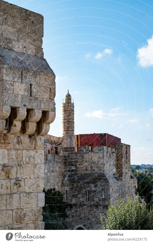Jerusalem Palästina Außenaufnahme Farbfoto Ost-Jerusalem Religion & Glaube Wahrzeichen Tempelberg Felsendom Sehenswürdigkeit Israel Menschenleer Sonnenuntergang
