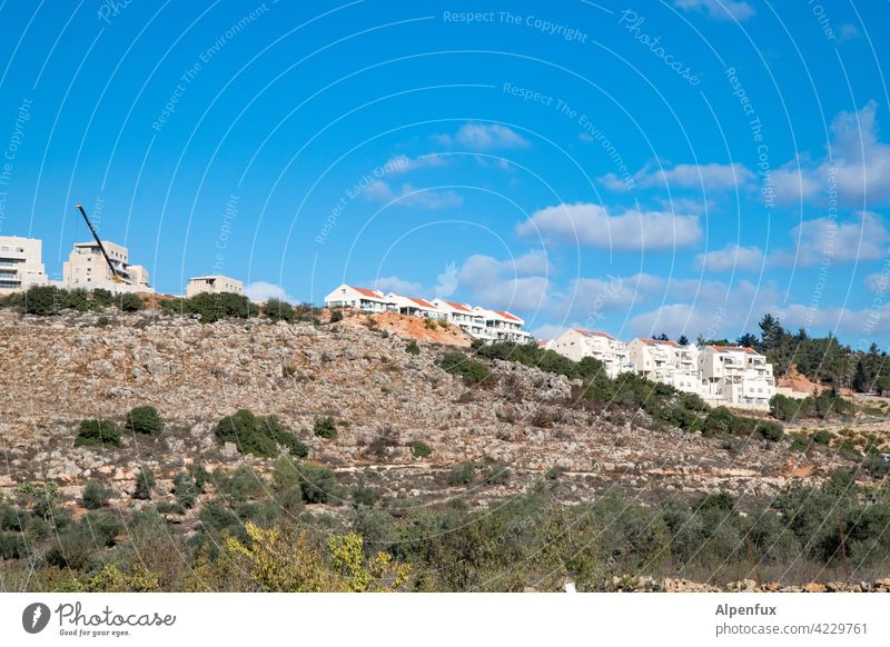 Illegale israelische Siedlung im Westjordanland westjordanland illegal Israel Farbfoto siedlung Außenaufnahme Haus wohnen bauen Palästina Siedlungsbau