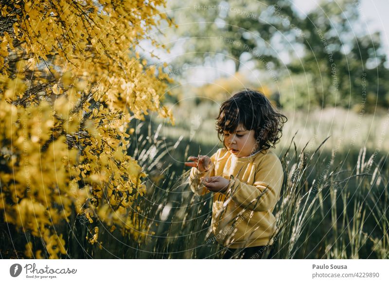 Kind pflückt Frühlingsblumen Kindheit Mädchen 1-3 Jahre gelb Kaukasier Tag Lifestyle Spielen Freude Außenaufnahme Natur Farbfoto Mensch Neugier erkunden