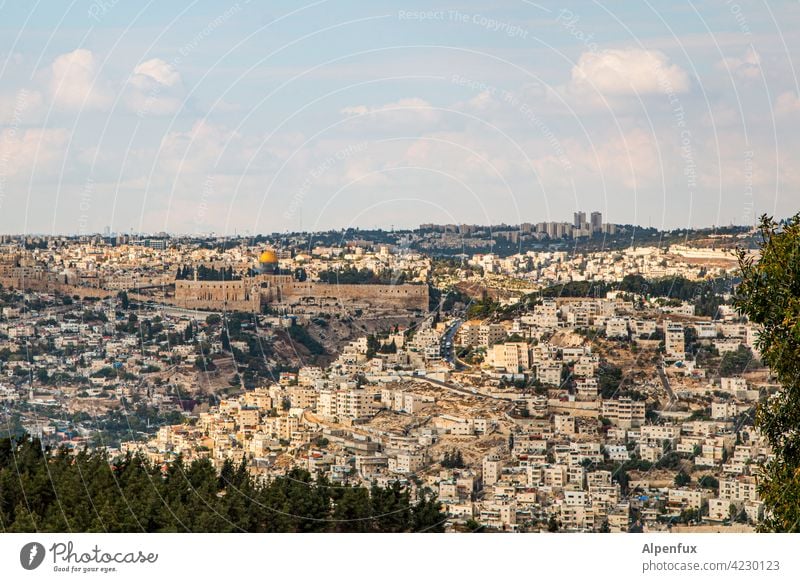 Jerusalem Palästina Außenaufnahme Farbfoto Ost-Jerusalem Religion & Glaube Wahrzeichen Tempelberg Felsendom Sehenswürdigkeit Israel Menschenleer Tourismus