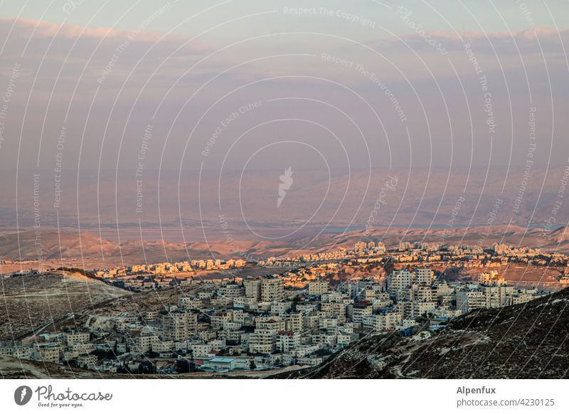 Lebendiger Blick zum Toten Meer Jerusalem Palästina Außenaufnahme Farbfoto Ost-Jerusalem Religion & Glaube Wahrzeichen Sehenswürdigkeit Israel Menschenleer