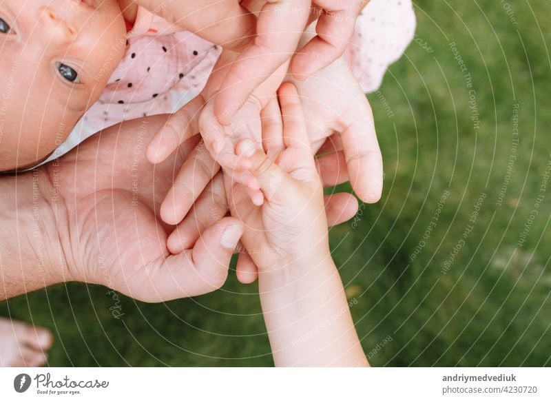 Die Hände der ganzen Familie. Hände von Mama, Papa und Kindern. Vier Hände der Familie. Das Konzept der Einheit, Unterstützung, Schutz und Glück. Zusammensein