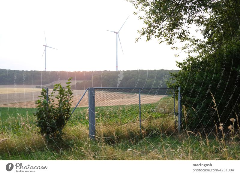 Sonnenaufgang mit Windrädern Windkraftanlage Erneuerbare Energie Klima Klimawandel Energiewirtschaft Umwelt Elektrizität Windrad Umweltschutz umweltfreundlich
