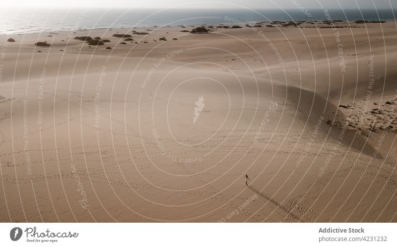 Unerkennbarer Reisender, der in der Wüste auf Sand läuft Tourist Spaziergang wüst Ausflug Urlaub Natur Düne Himmel Frau reisen schlendern Sommer Tourismus