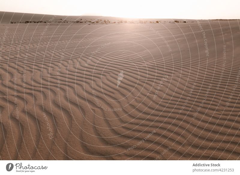 Gerippter Sand mit Abhängen in der leeren Wüste wüst Natur Landschaft Hügel Himmel Düne unfruchtbar unberührt trocknen idyllisch regelwidrig Hügelseite