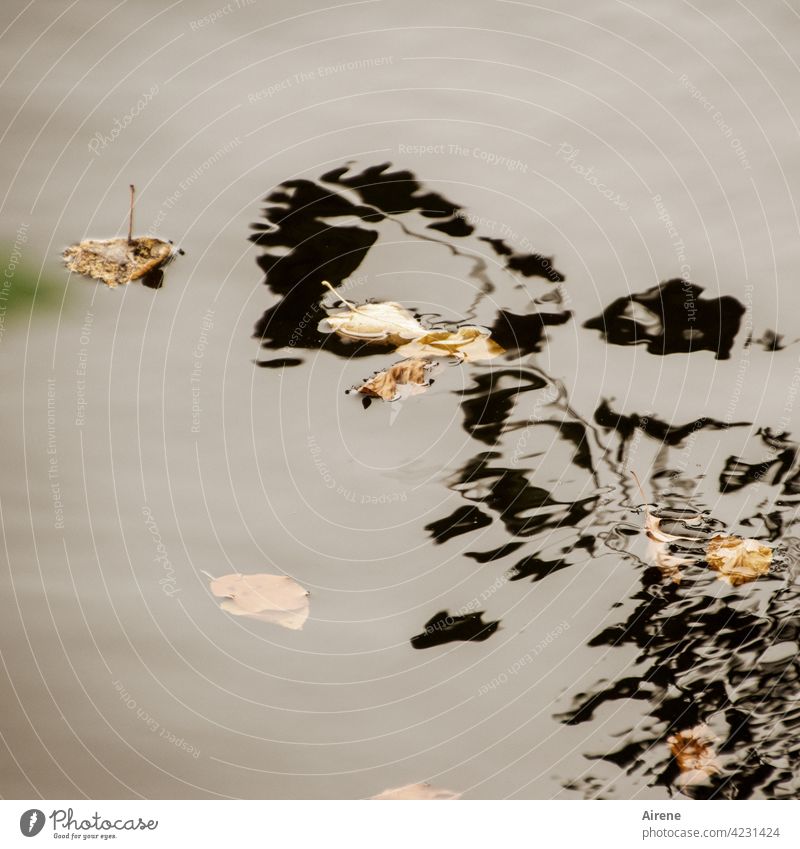 Das Monster aus der Tiefe | Wassergeister III Schatten Geister schwarz abstrakt Wassermann geheimnisvoll Reflexion & Spiegelung Wasseroberfläche ruhig See Teich