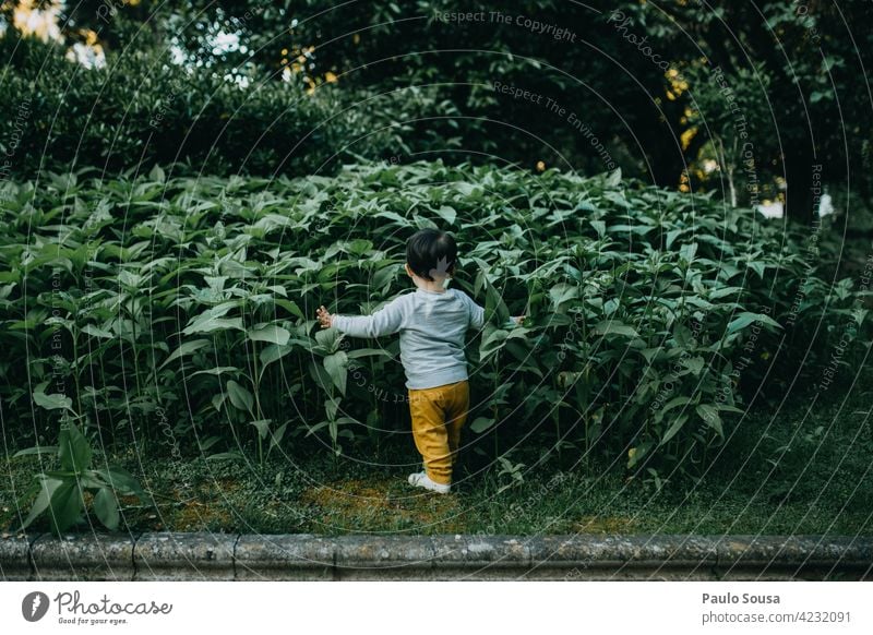 Rückansicht Kind spielt im Park 1-3 Jahre Kaukasier Kindheit Kindheitserinnerung Tag Fröhlichkeit Freude Spielen Kleinkind Mensch Lifestyle Farbfoto erkunden