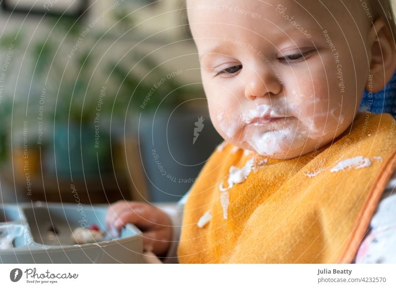 11 Monate altes Baby, das sich selbst mit griechischem Joghurt füttert; babygeführte Entwöhnung mit allergenen Milchprodukten Allergiker Allergie Belichtung