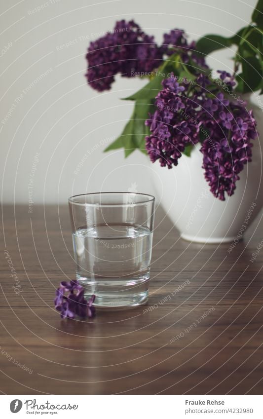 Stilles Wasser... Fliederduft...  lila Flieder in einer weißen Vase Wasserglas Mineralwasser Glas Wasser trinken frisch Durst löschen gesund violett Frühling