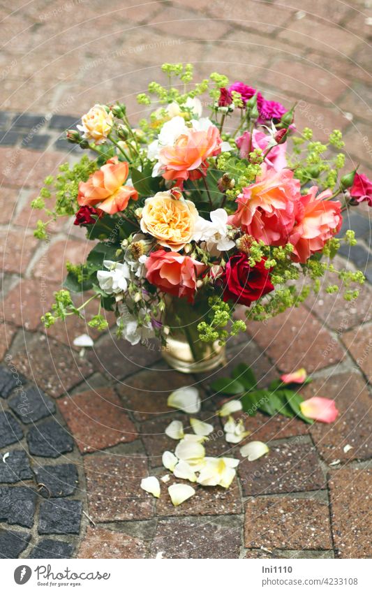 Rosenstrauß aus dem Garten Rosenblätter Kletterrosen Frauenmantel Glasvase Duft Rosenduft Duftrosen Rosensorten Sommer Terrasse Pflastersteine