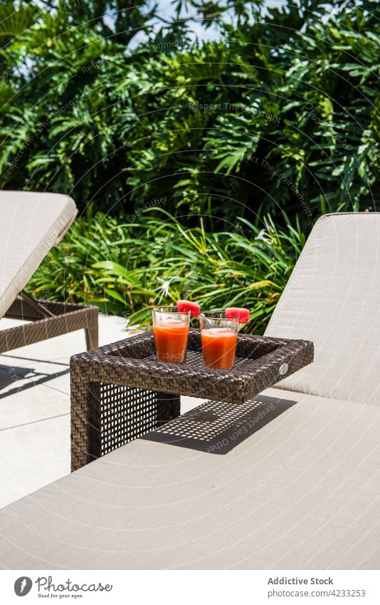 Sonnenliegen im tropischen Garten mit einem Glas Wassermelonen-Smoothie Sonnenbank Resort Erfrischung Saft lecker Vitamin exotisch Urlaub trinken Frucht Getränk