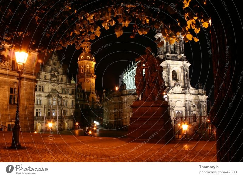 Blick von der Brühlschen Terasse in Dresden Nacht Straßenbeleuchtung Baum Blatt Architektur Religion & Glaube Licht