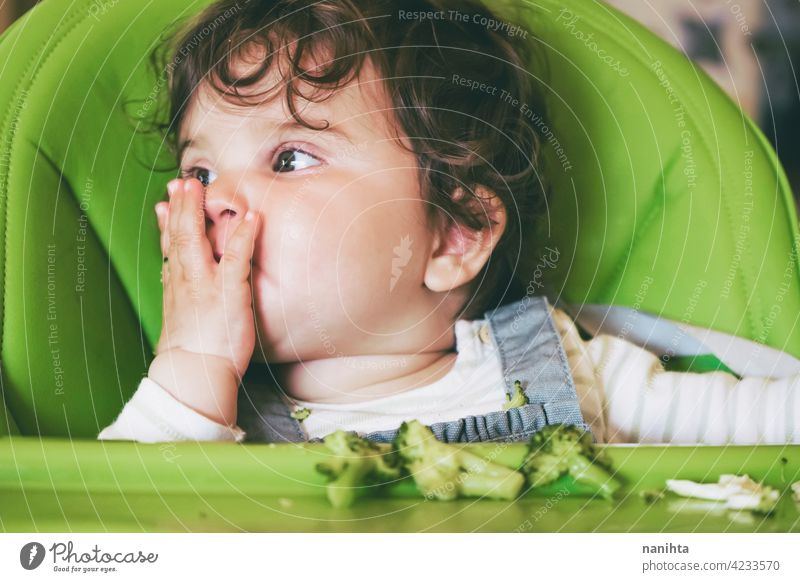 Baby isst Essen in ihrem grünen Hochstuhl blw Baby-Bleiwatte Gemüse Lebensmittel Brokkoli Veganer Vegetarier Gesundheit Diät weiß Kaukasier Beikost füttern