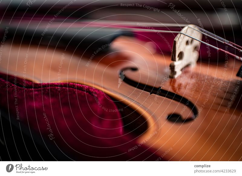 Geige im Geigenkasten Musik Musiker Spielen Instrument Klassik klassisches instrument Violine spielen violine seiteninstrument Seitenansicht