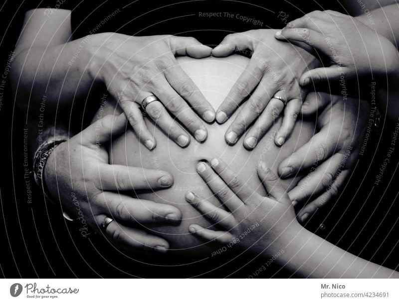 Familienglück schwanger Baby Babybauch Hand Liebe Mutter Bauch Haut Finger Glück berühren Vorfreude Geborgenheit Verantwortung Geburt Sicherheit