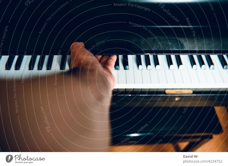 Klavier - öffnen oder schließen Deckel Musiker musizieren Musikinstrument Klaviatur Klavier spielen üben Freizeit & Hobby Hand Kultur