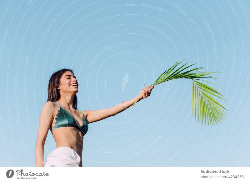 Sinnliche Frau im BH mit Palmblatt unter blauem Himmel Handfläche Blatt sinnlich Körper Kurve feminin Schatten Arme hochgezogen natürlich Botanik exotisch