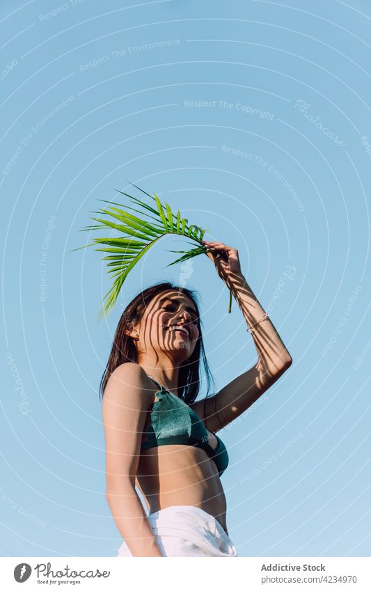 Sinnliche Frau im BH mit Palmblatt unter blauem Himmel Handfläche Blatt sinnlich Körper Kurve feminin Schatten Arme hochgezogen natürlich Botanik exotisch