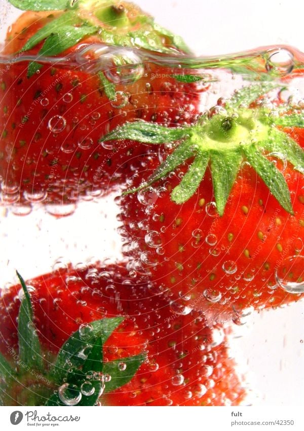 3 Erdbeeren rot grün Stil Vitamin Gesundheit frisch nass feucht Ernährung weiß Unterwasseraufnahme berühren Geschmackssinn lecker Getränk Mineralwasser
