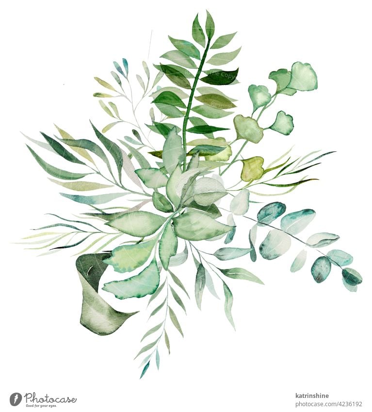 Aquarell botanische Blätter Bouquet Illustration Wasserfarbe Blumenstrauß Zeichnung grün Grafik u. Illustration Papier Blatt Frühling handgezeichnet Ornament