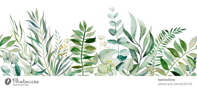 Aquarell botanische Blätter nahtlose Grenze Illustration Wasserfarbe übergangslos Borte Zeichnung grün Grafik u. Illustration Papier Blatt Frühling