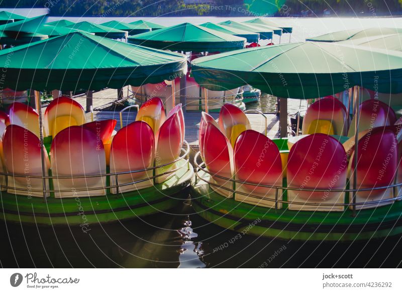 Tretboote wie Lotosblumen Wasserfahrzeug See Ferien & Urlaub & Reisen Sammlung Peking China blumig Anlegestelle Tourismus Lotosblüte Boot Park Freizeit & Hobby